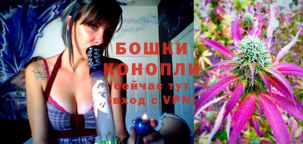 молекула духа Белоозёрский