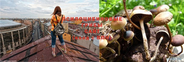кокаин премиум Беломорск