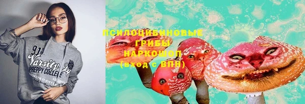 соль ск Белокуриха