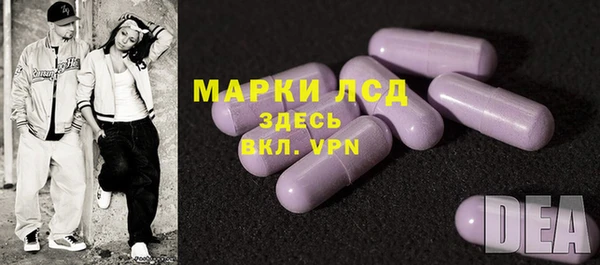 соль ск Белокуриха