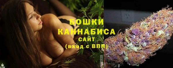 соль ск Белокуриха