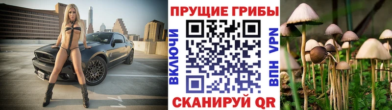 Галлюциногенные грибы Magic Shrooms Шагонар